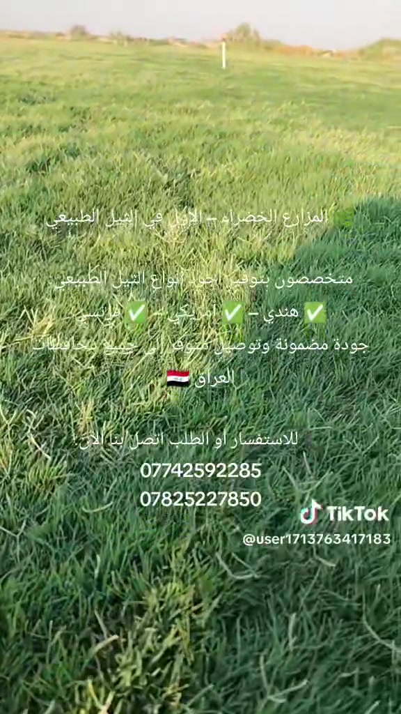 🌿 المزارع الخضراء – الأول في الثيل الطبيعي

متخصصون بتوفير أجود أنواع الثيل الطبيعي:
✅ هندي – ✅ أمريكي – ✅ فرنسي
جودة مضمونة وتوصيل متوفر إلى جميع محافظات العراق 🇮🇶

📞 للاستفسار أو الطلب اتصل بنا الآن:
***********
***********
