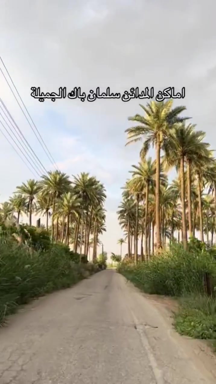 يتوفر لدينا دوانم في بغداد #المدائن ملك طابو صرف او حق تصرف للأستفسار اكثر اتصل 
***********
***********
