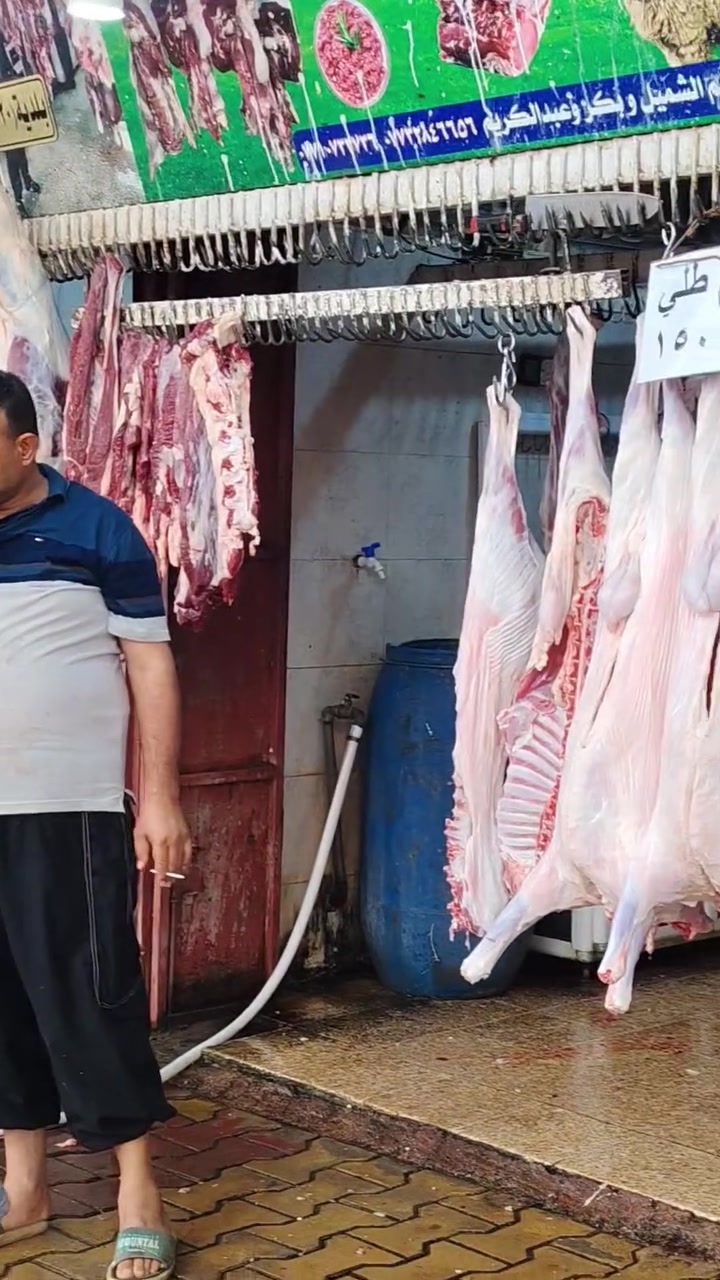 بث مباشر • ١٠/١١ • القيارة