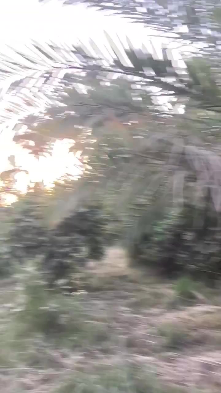 طابو صرف مناصفة
المساحة 2000 متر بستان

الكفل / ام نعجة

جدول بني حسن

عن التبليط 300 متر

كهرباء/ ماء سقي / ماء اساله

السعر 40 مليون

اغلب النخل بريم

***********
