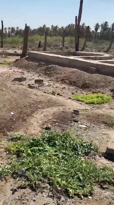 السلام عليكم  قطعه ارض زراعيه خلف المستسفى التركي 100 م اريد اعرضه للبيع بسعر 20 وبيه مجال الشراي تصل ع الرقم 👇👇 
***********
