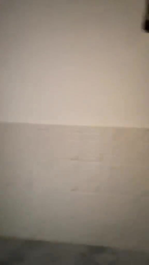‏‎ بناء طابقين  حديث 75- متر
‏‎  يحتوي البيت. على 3 نوم- -استقبال -حمامات عدد 2- صالة- ومطبخ]   
‏‎  البيت شغل درجة اولى   
‏‎مع خدمات
‏‎ طابو زراعي  قرار محكمه سند 25
‏‎العنوان #بغداد #الدوره مدخل #البوعيثه   مجمع العدل الاول 
‏‎للاستفسار  ع سعر او الاتصال ع الرقم ***********
