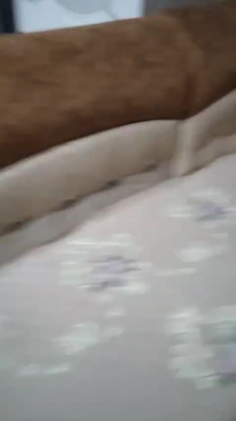تخم ٧ مقاعد • نضيف • حله طهمازيه