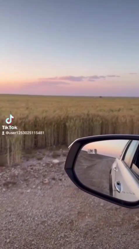 ٣٠٠دونم • مرشات ٣ • كربلاء طريق معمل الأسمنت