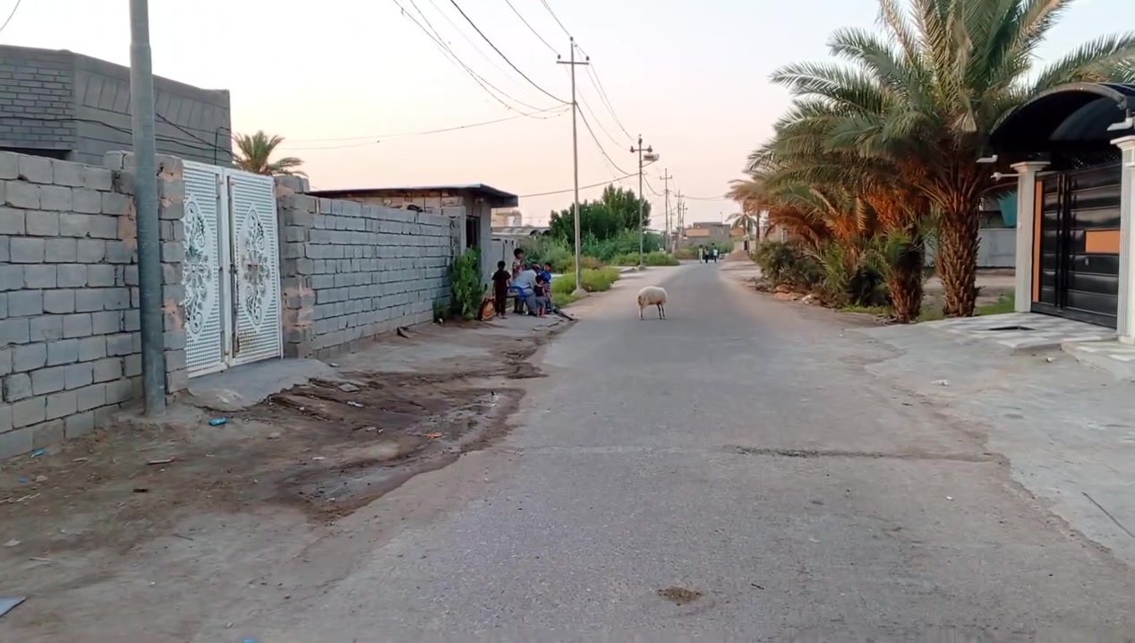 يا الله السلام عليكم 
شارع تبليط كهرباء اساله
 مدرسه ابدائيه ومتوسطه ١٠٠ عن البيت 
بيت للبيع بل العلاك مساحه 650متر 
ينباع سعر قطعه وسعر مناسب 
 سند 25 طابو زراعي مداور مباشر الاستفسار 
*********** 
***********
كافة القطع بل العلاك موجوده مساحات مختلفه
