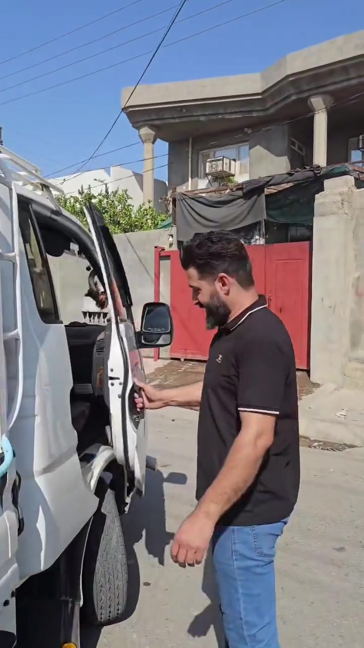 كوشات • هيفين