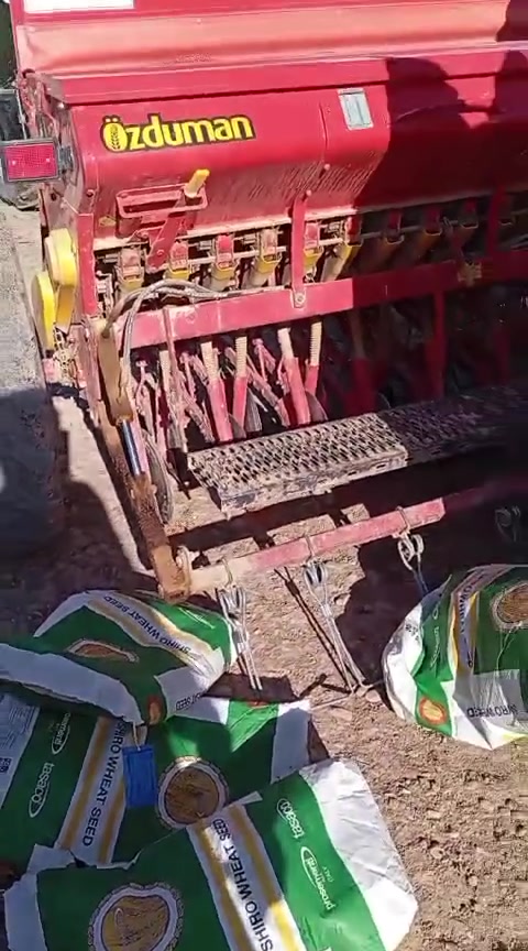شيراو • بنت الجيس • كركوك ليلان