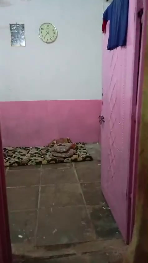 يم نفوس • غرفتين • بيه مجال