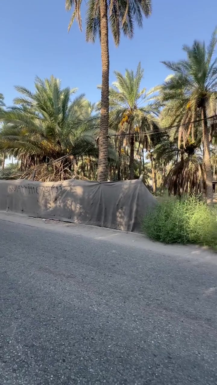 سلام عليكم نصف دونم سند 25 تحويل ب أسم المشتري كربلاء الحسينيه منطقه الشاهر واجه عل شارع العام تبعد عن شارع الحسينيه 100متر موقع كلش مميز واجه 23متر والباقي نزال مغروس بل نخيل 28نخله اتصال ‭***********‬
