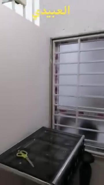 العبيدي • حدادة • زيونة