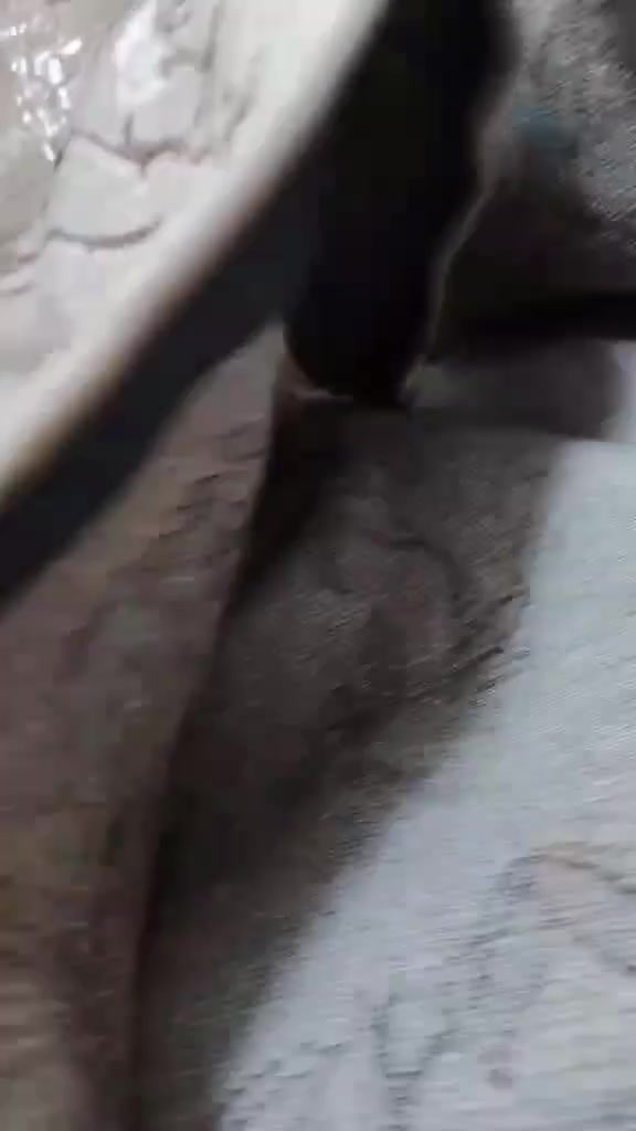 كاربت مترات ضهره نفس زوليه اخذته متره ١٣ الف لعام
قياس ٤ في ٥
اخو جديد بس يرادله غسله حك غسل هم عليه وتدللون
جان زوج انباع قطعه باقي هاي
*********** رقم موبايلي
