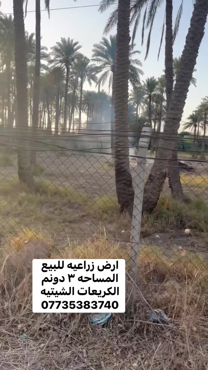🌾 أرض زراعية للبيع

📍 الموقع: المحاويل – الكريعات – الشيتيّة

🔹 المساحة: ٣ دونم
🔹 الواجهة: ٥٠ متر
🔹 الباقي: نزال
🔹 متوفر كافة الخدمات
💰 السعر: خاص أو اتصال

📞 للاستفسار: ***********
