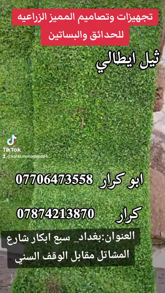 تجهيز ثيل جميع انواع الهندي وايطالي والفرنسي باسعار مناسبه للمزارع والملاعب ودوائر الدوله وحدائق المنزليه
العنوان بغداد سبع ابكار شارع المعارض مقابل الوقف السني 
أبو كرار ***********
كرار ***********
@إشارة
