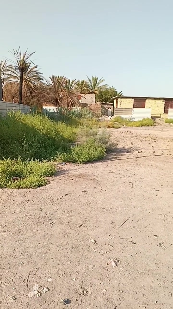سلام عليكم للبيع قطعة أرض مساحة 144 نزال 12 واجهه 12 عنوان الأرض المدائن قررب نقطه دالة مقابيل الحردانية متوفر ماء كهرباء مجاري انترنيت عليهه 5 شوارع خدمية صنف الأرض طابو زراعي 25 تواصل واتساب فقط ***********
