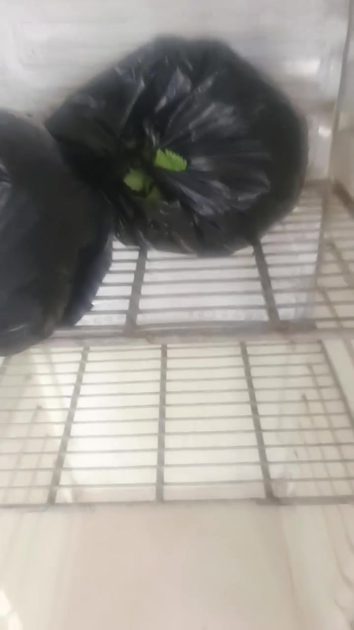 بارد البيع ماعرف شنو عطاله الله شاهد طفه واحد سعر ٧٥ ألف مكان السوك شيوخ ***********
