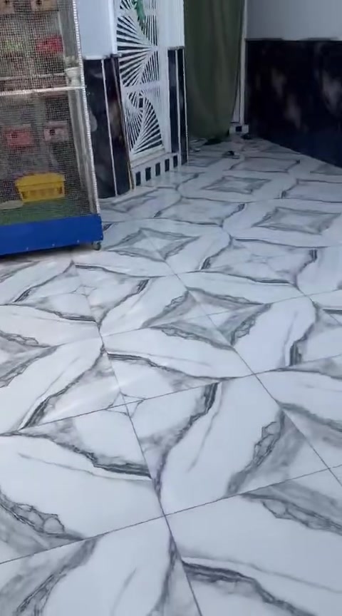 متاح قفص جبير ارتفاع مترين ونص وطول مترين ونص والعرض متر ونص بيه 40 بيت  المكان الطار وهذه رقم راعيه مكلف بالنشر والله  ***********
