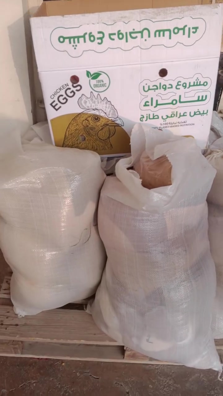 بهارات هندية • زيت زيتون سوري • شاي سلمانيه
