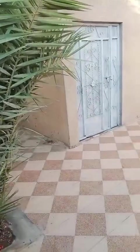 دزيته خويه طابقين لاول مسلح والثاني سندويج خدمات مدارس بتدائيه ومتوسطه وعداديه بنفس المنطقه وماي كهرباء كراج سيارات بابنه مساحه 200متر وسعره 55بي مجال قليل منطقه المعامل اول شارع بلمعامل منطقه كلش قديمه زراعي عليها جاي تتطويب لان قديمه كلش الستفسار ***********
