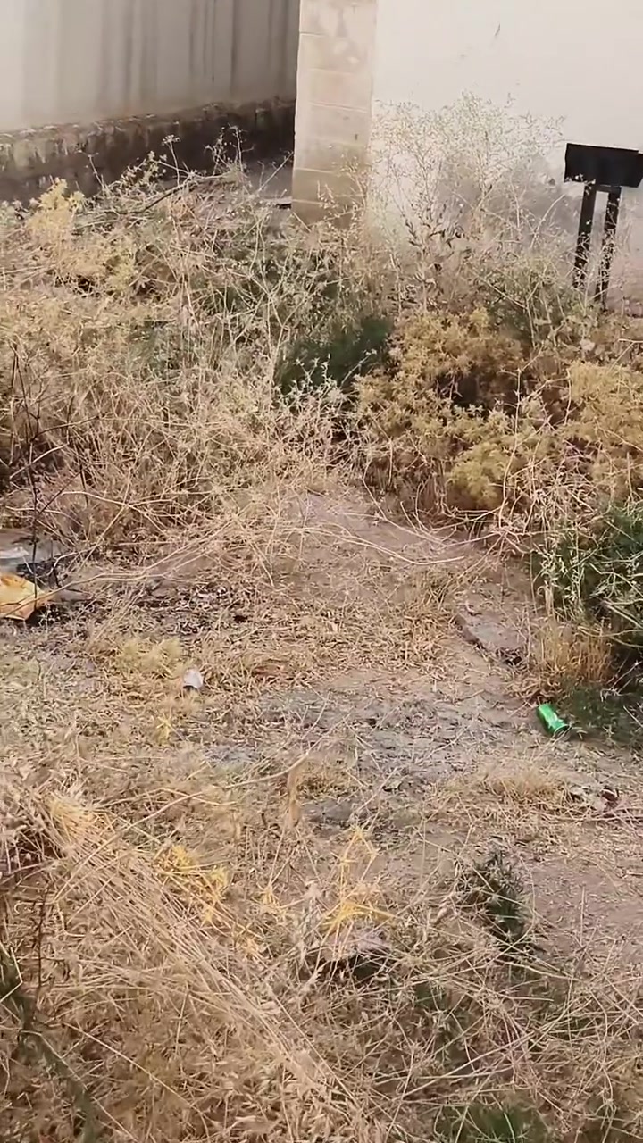 تنضيف شكو لي عنود تنضيف يتصل ***********
