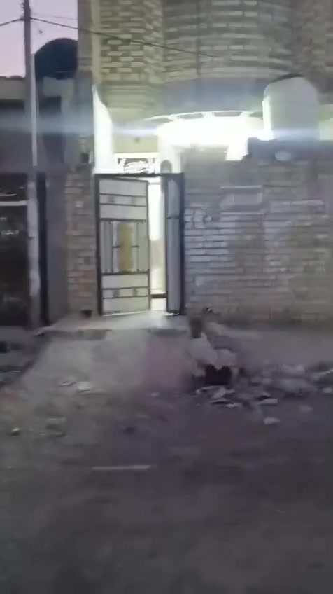 بيت البيع بغداد حي البتول زراعي مراجعه علا رقم ***********
