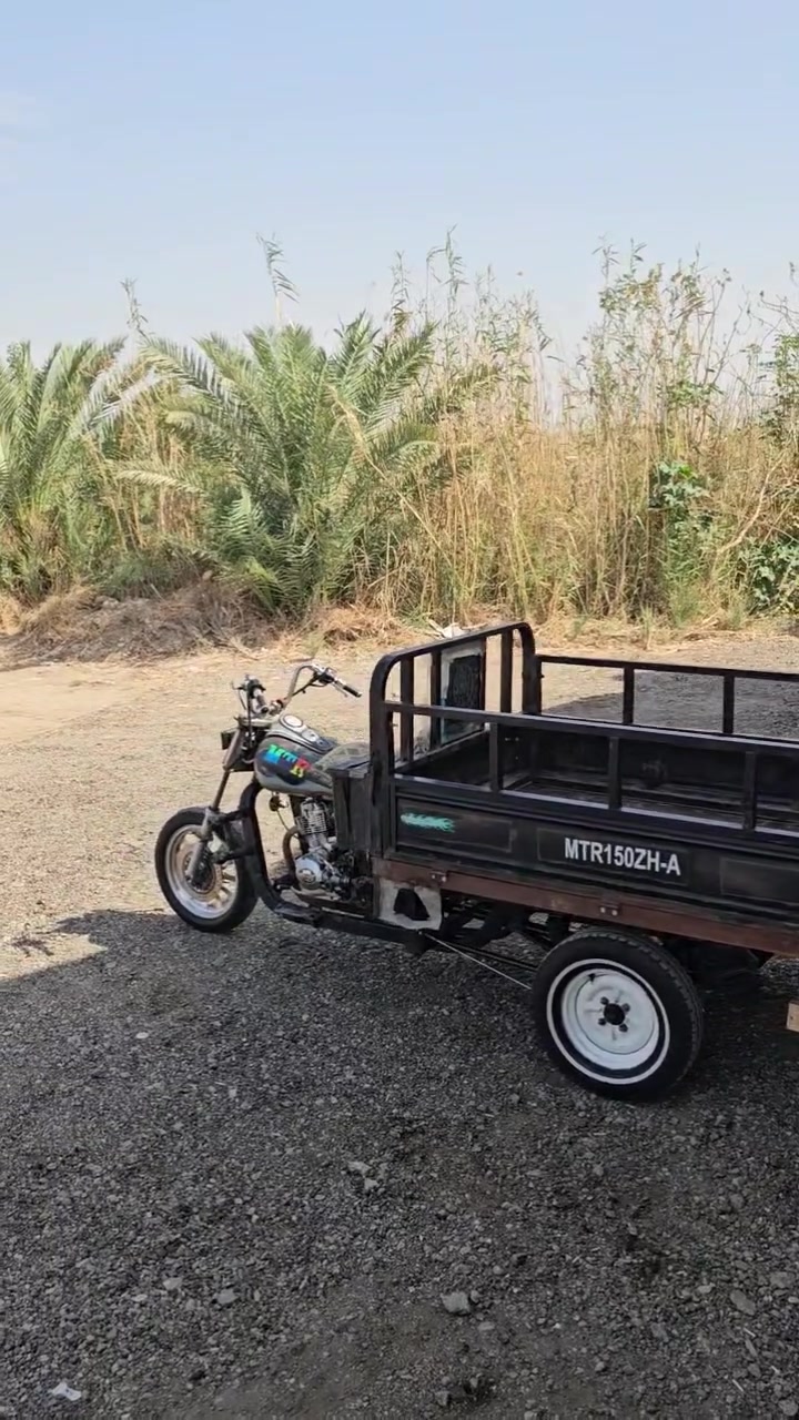 ستوته • موديل ١٢ • كلك