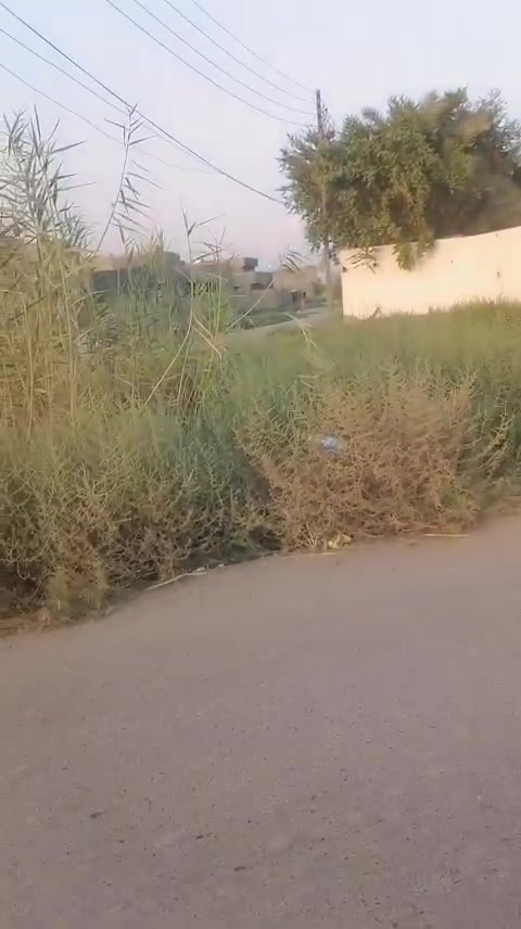 قطعة ارض للبيع 

العنوان الرمادي الصوفية خلف شركه الياسين 

جنس العقار مفوّض بل الطابو صرف 

مساحه 220متر 

وجه 16متر نزال 21متر 

باقي التفاصيل بل الفيديو 

الاتصال ‏‪***********‬‏

عنوان المكتب الرمادي خلف العاب السندباد
