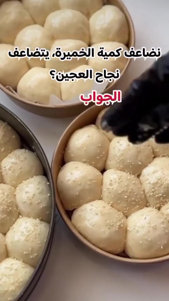 خلية نحل • متوفره • توصيل