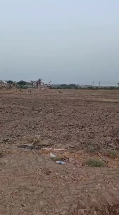 ٣ دوانم • سند ٢٥ • ابو غريب الشيحة