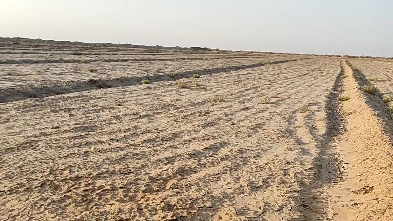 السلام عليكم 
 للبيع ارض زراعي عقد 35./ 40دونم   گاع امعدله   ليزر جاهزه للزراعه  مثلما موضح بالصوره تبعد عن التبليط كيلو  متوفر حصه مائيه.+بئر ارتوازي 30متر  مكان مقاطعه الصگب سعر الدونم 
مليون اونص ***********
