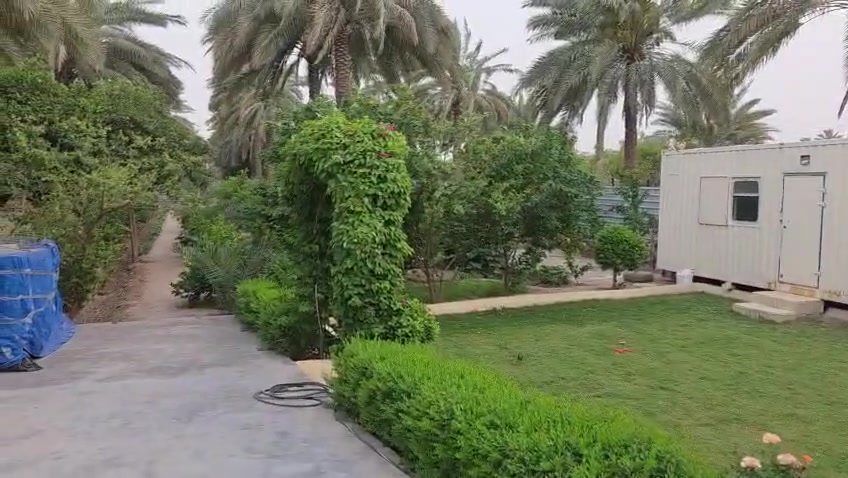 دونمين ونص شاطيه مزرعه جاهزه الصويره للاستفسار على رقم ***********
