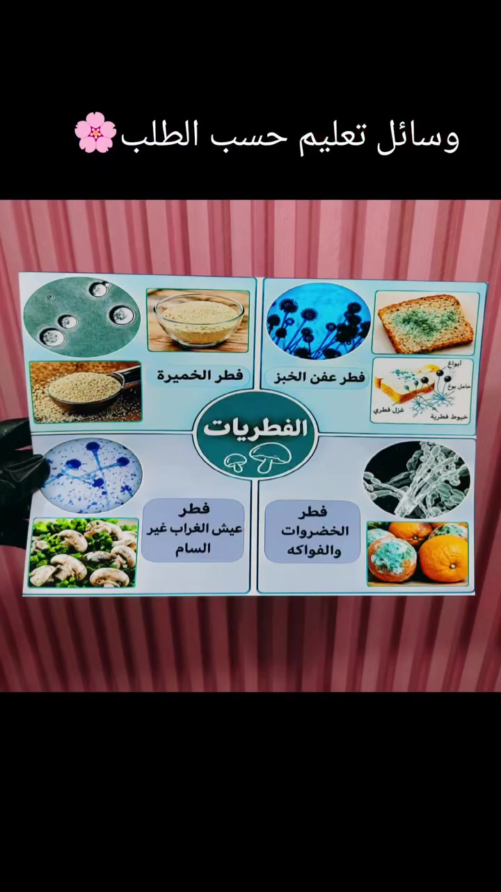 طباعة واستنساخ • جلادات وباجات • تصاميم حسب الطلب