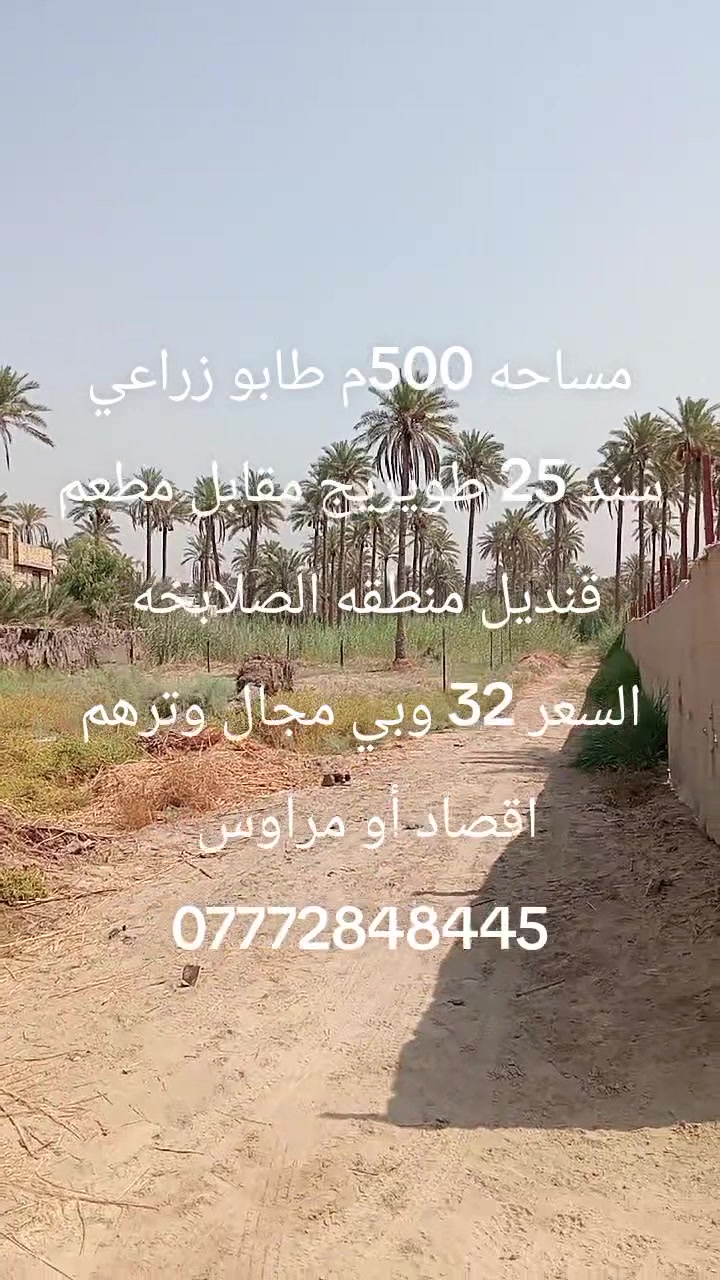 طويريج الصلابخه • ٥٠٠م • سند ٢٥