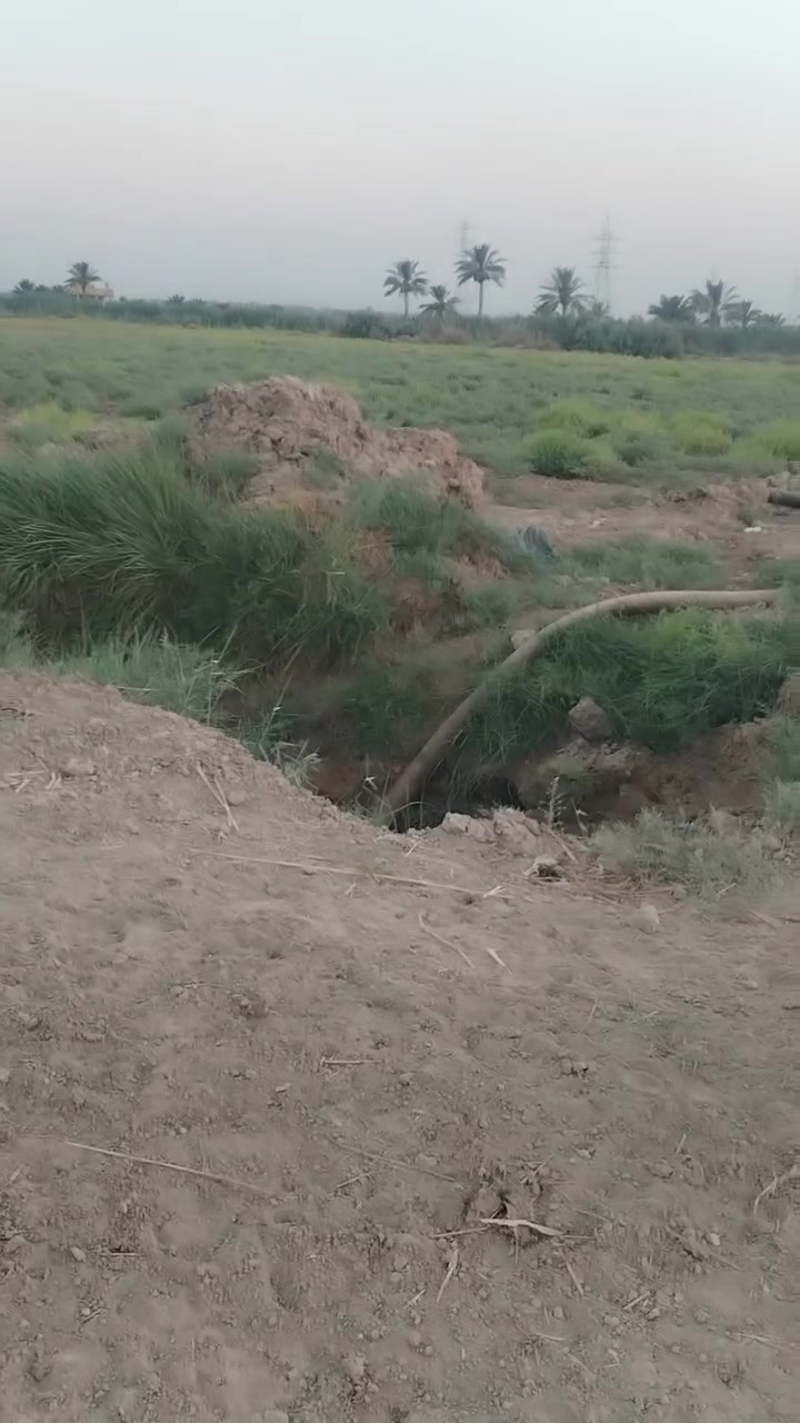 الجربوعيه • طابو زراعي • ٥ دونم