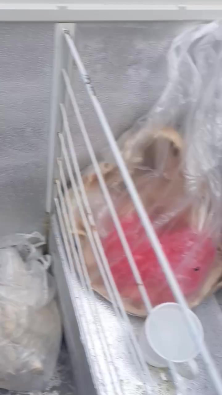 مجمدة ٩٠ • شعب بغداد • للبيع