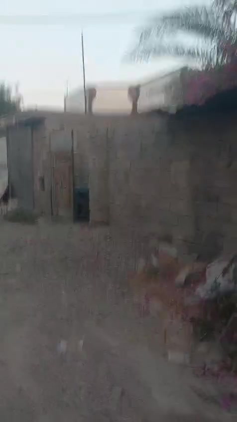 حولي البعنون • ٢٠٤م • سند زراعي