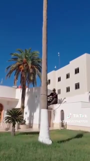 اتصل واتساب*********** مكاني بغداد العبيدي ترتيب الحدائق وتقليم الاشجار والنخيل وقص الثيل وتكريب النخل @الجميع

