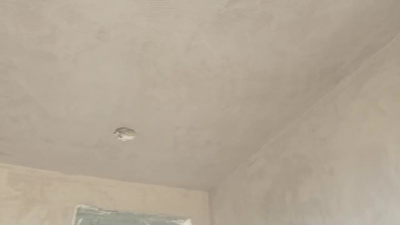 جص اسمنت • درجة أولى • حي الأمير