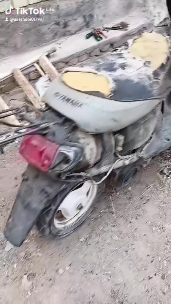 منغولي