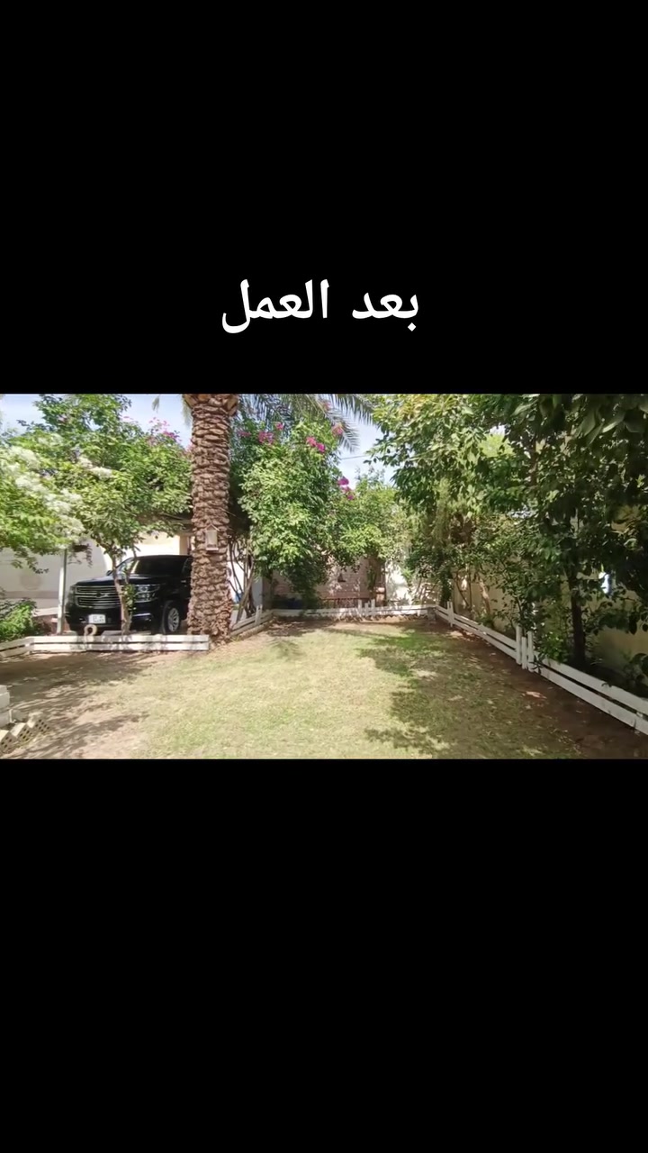 يا الله اللهم صلي على محمد وآل محمد
جانب من اعمالنا لهاذا اليوم في تنضيف وعمل كافه الحدائق ومستعدون ايضاً لجميع الأعمال الاستفسار اكثر الإتصال على *********** او مراسله الحساب علي الشمري

نص مكتوب في الصور:
- قبل العمل
- بعد العمل