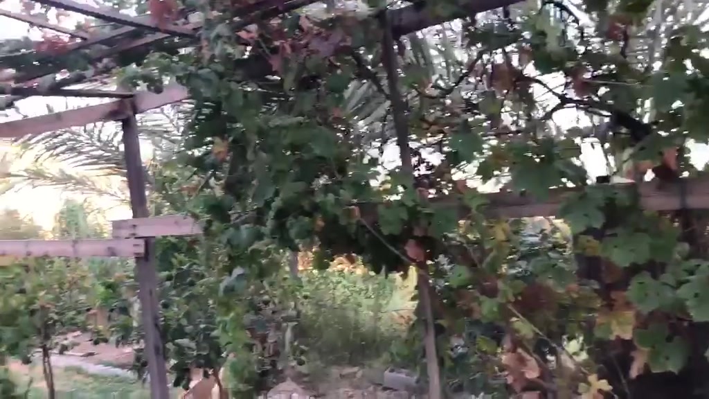 للبيع دار طابو ملك صرف 150متر 7.50×20 زنجيل على شارعين+تشجير ملاصق للدار بحدود ال 300متر البيت مباشر على السدة شارع 15 وشارع10 
طابق واحد استقبال مطبخ صاله صيحات غرفة نوم عدد2
الزعفرانية حي الأمانة مباشر على سدة الجنابيين 
للأستفسار اكثر الاتصال على الرقم التالي *********** علي حامد الجواري مكتب المهيب للوساطة العقارية وأنجاز المعاملات
