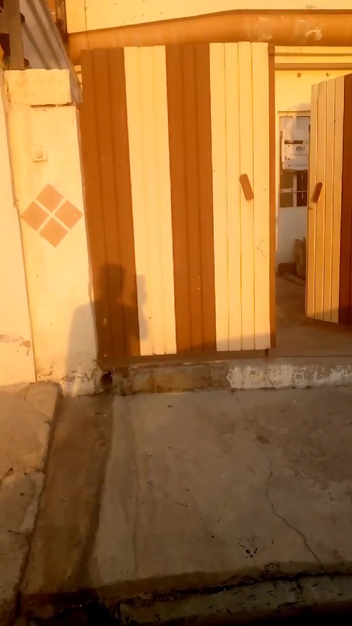 حي الانتصار • خلف تبارك • ١٠٠م