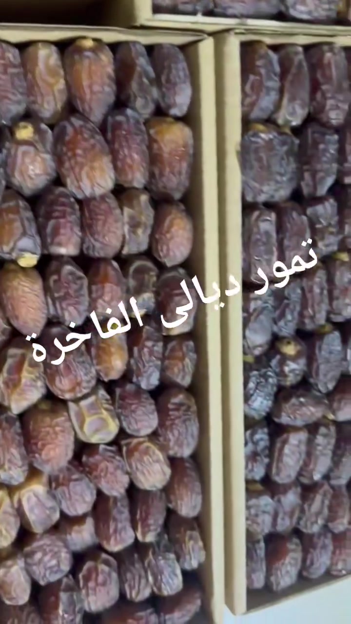 تمر طازج • بريم لاوي • عجوة عراقي