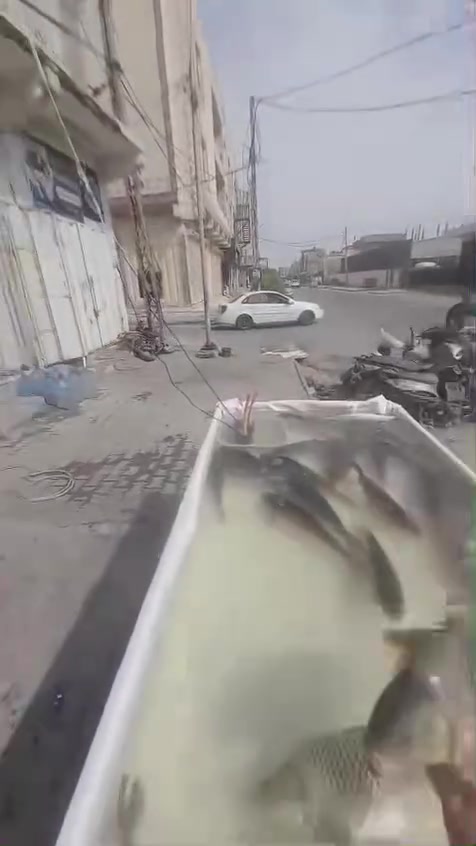 شوي عالحطب درجه اولى1️⃣ تتبيلات خاصه💯
كافة الاوزان متوفره كميات خير من الله
العنوان ال باني شارع الكفيل مقابل مدرسة النهرين الاهليه
للطلب ***********_*********** واتساب 
او مراسلة الصفحه 
حياكم الله وكل الهلا 🌷🤍
