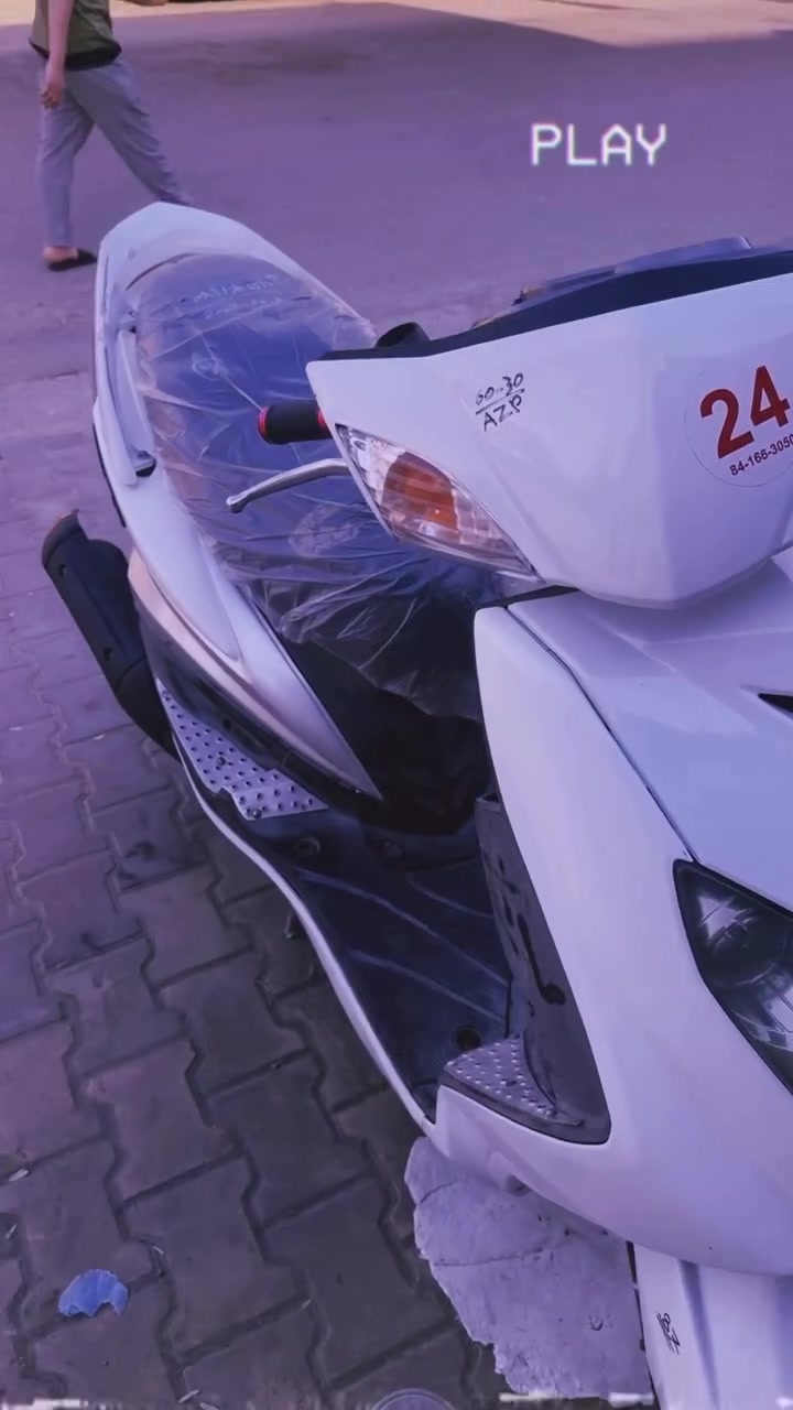 سكنس فحل • كابريتر • مكفول