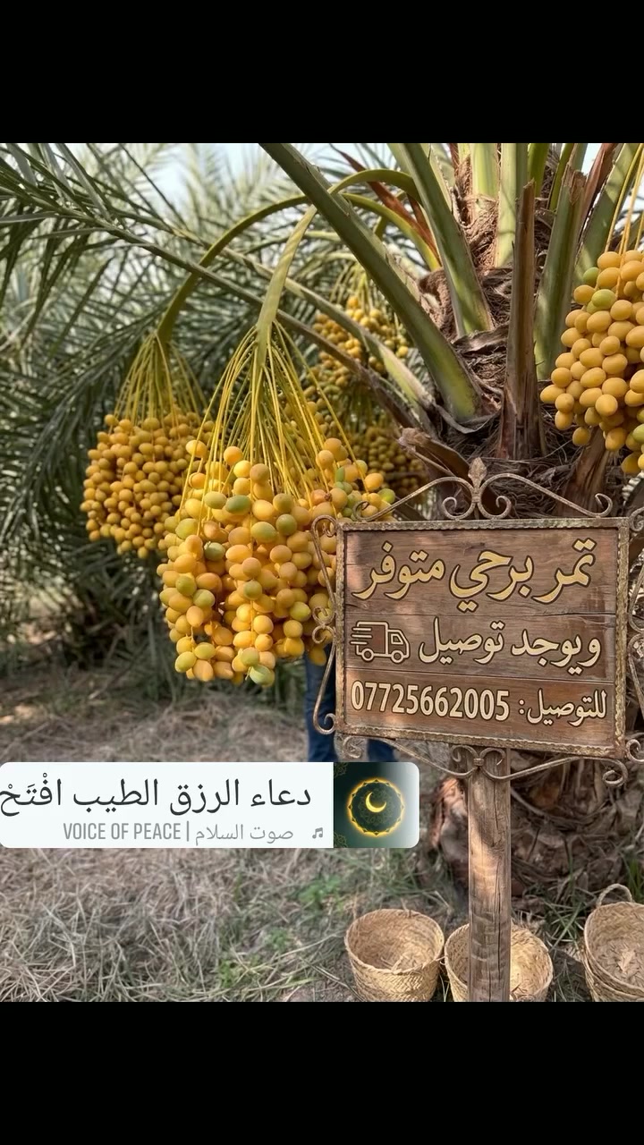 # @الحمد لله متوفر برحي # @ويوجد توصيل ***********
