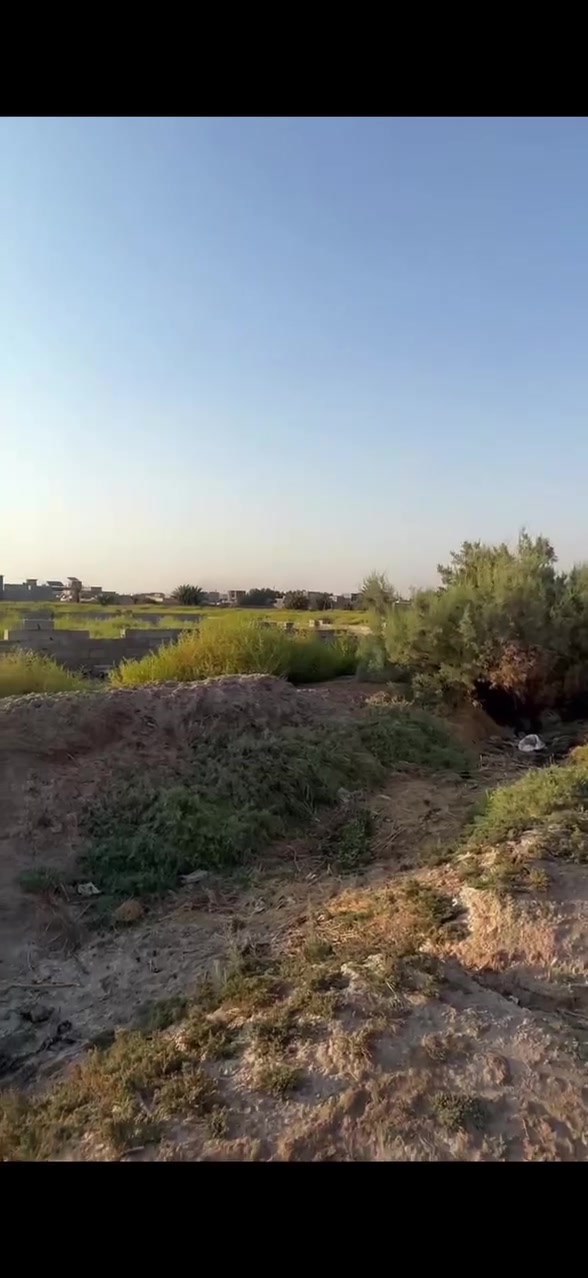 مثلث كلابين • ٣٠٠م • قرار زراعي