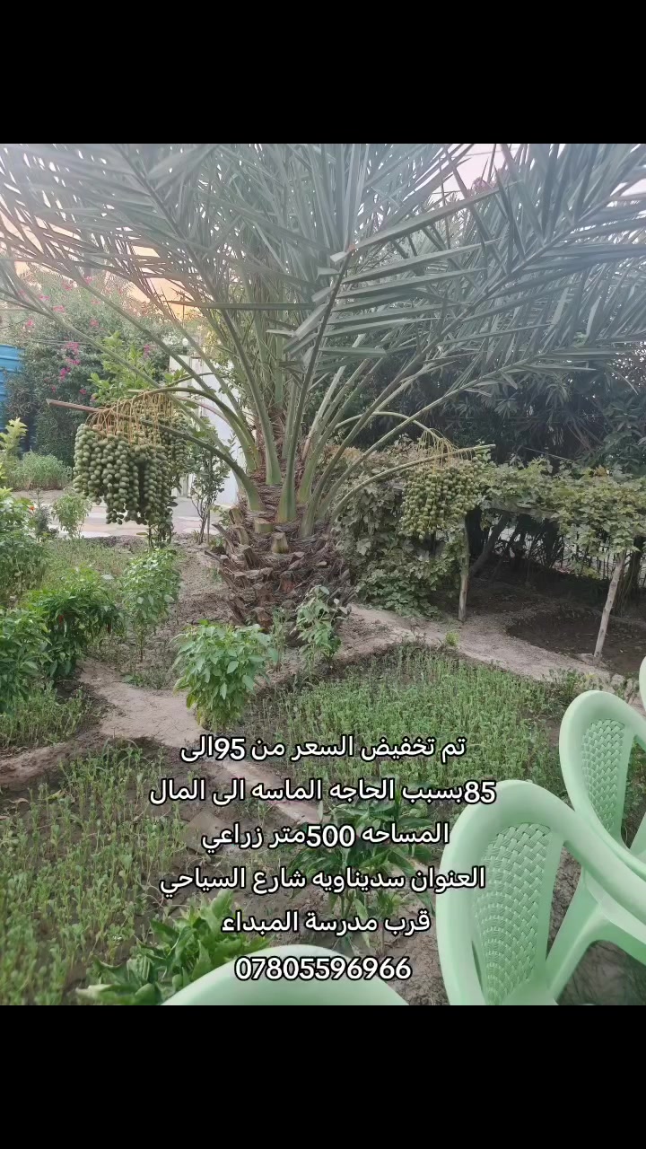 تم تخفيض السعر من 95 إلى 85 بسبب الحاجه الماسه إلى المار 
مساحه 500متر للبيع الدار مع حديقه يحتوي الدار على استقبال وصالتين وغرفتين ومطبخ وصحيات داخليه وخارجيه
الاستفسار أكثر مراجعة مكتب الواثق أو الاتصال على الرقم التالي ***********

