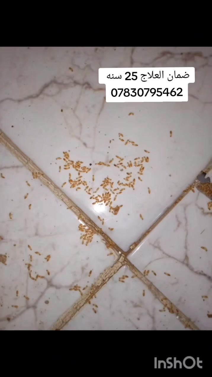 تمت المعالجه عن طريق حقن الاساس ورش الارضيه والتخلص من الارضه .
ضمان العلاج 25 سنه 
***********
