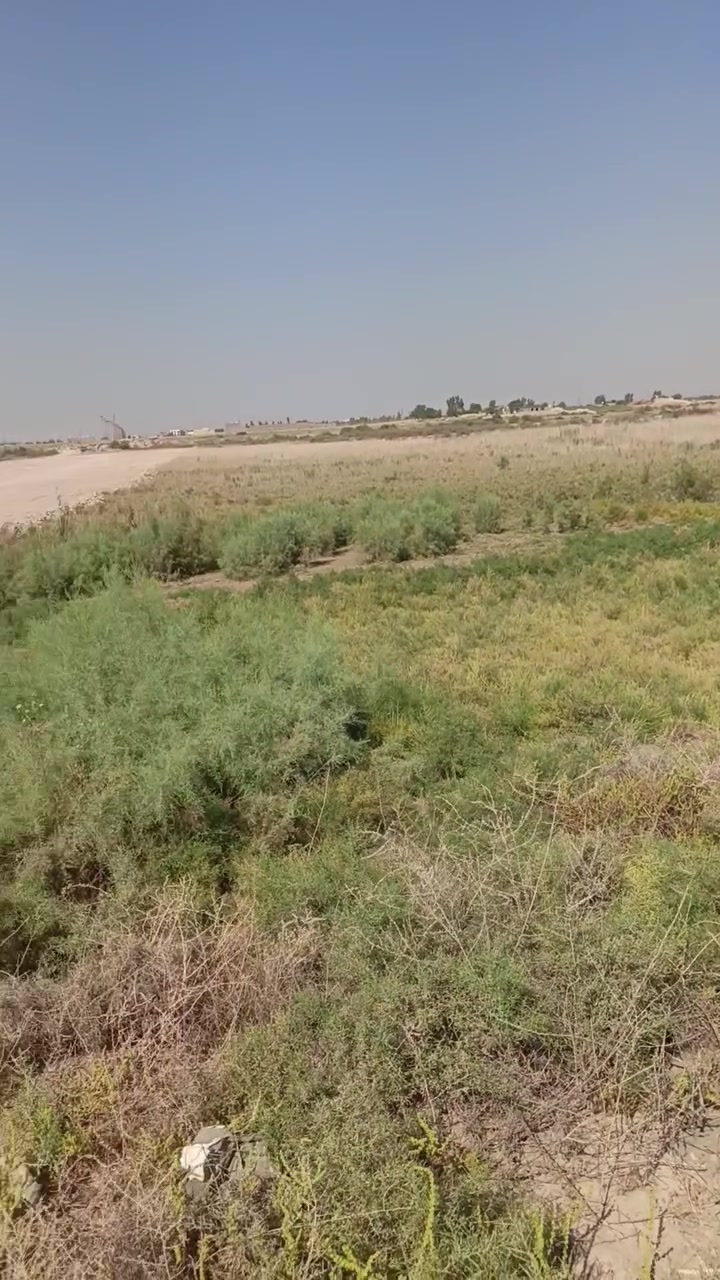 السلام عليكم ٧ دوانم للبيع طابو سند ٢٥ تحويل مباشر 
فلوجه النعيمية صايره ع نهر مباشر ***********
