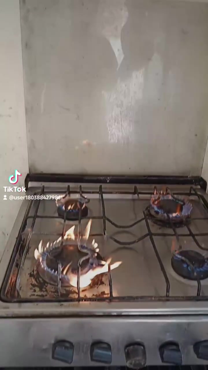 طباخ • نجف